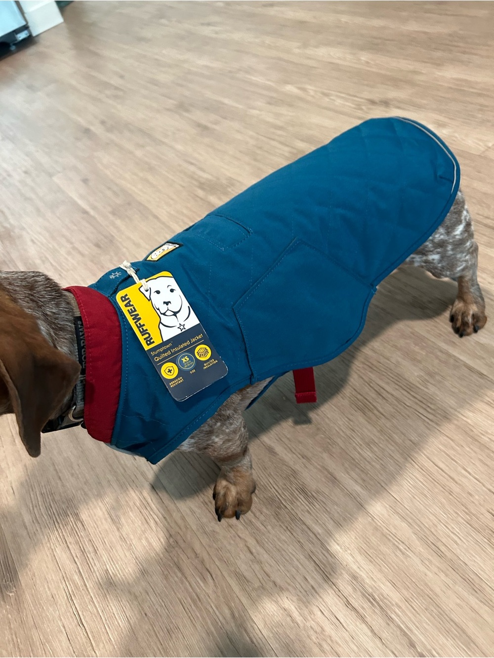 Ruffwear Quilted Insulated Dog Jacket in blue and Red (Dog not included)